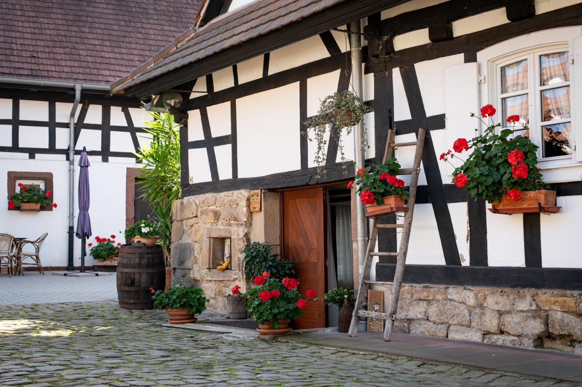 Gites Et Chambres D'Hotes Maison Ungerer Hunspach Exterior photo